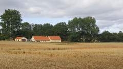 Denmark in summer!