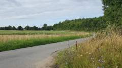 Beautiful summertime view - The road to the pub!
