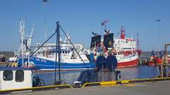 Fishing boats alongside in Lerwick on a sunny afternoon in July, 2019