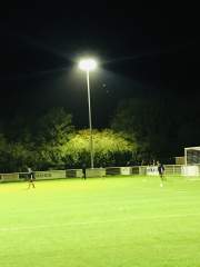 Bats around the floodlights at Badshot Lea FC