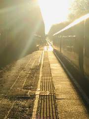 Train in the winter sunlight at Effingham Junction
