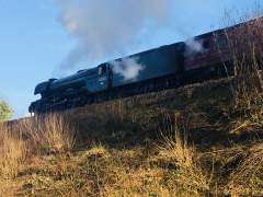 Flying Scotsman on the Watercress Line
