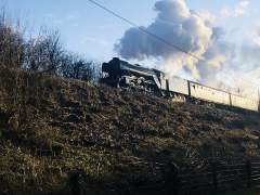 Flying Scotsman with carriages aglow in the winter sun