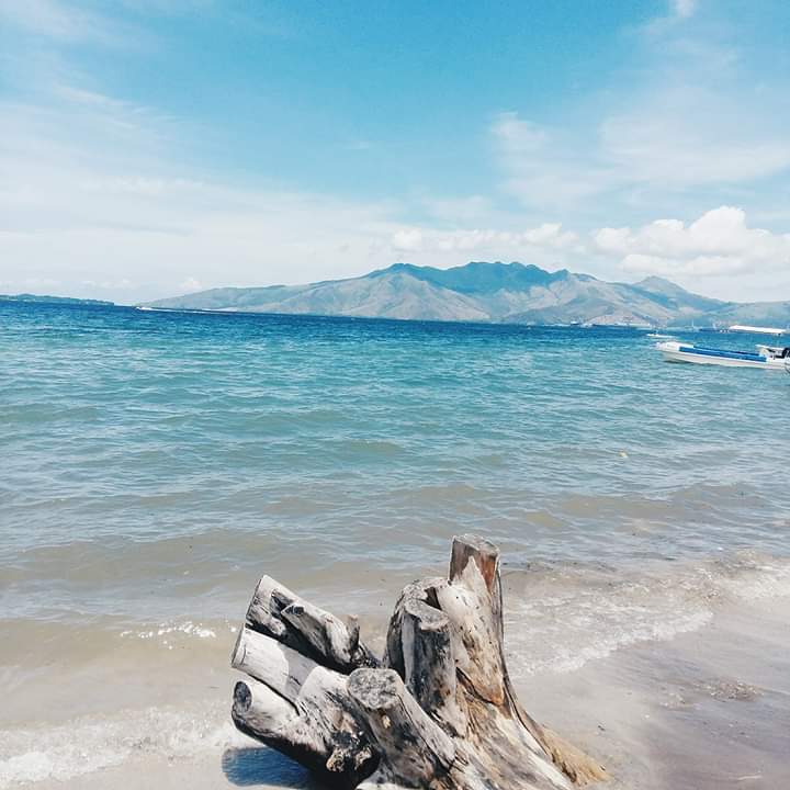 Driftwood on the Beach at SBMA Subic Bay Zambales