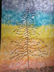 Pine