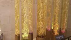 Ginseng Display