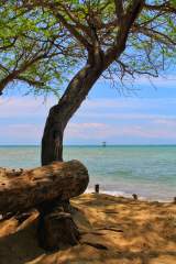 Manuel Uy Beach