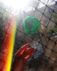 Lollipop
