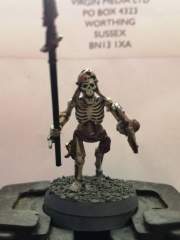 Deathrattle Skeleton Spear-man