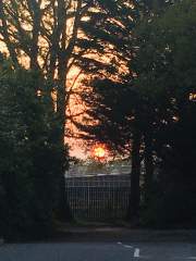 Sunset from Chalet Hill, Bordon, Hampshire, England