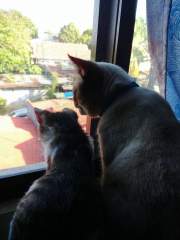Sightseeing - Moymoy and Ginie