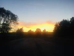 The sky on fire as the sun sets out to the West of Hogmoor Inclosure.
