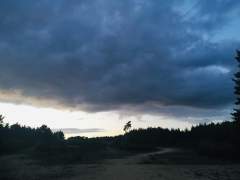 The storm clouds of Covid 19 are still here? View over the Hogmoor Inclosure, Whitehill, Hampshire