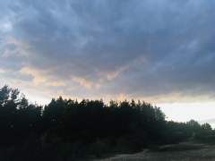 Angry looking clouds over the Hogmoor Inclosure, in Whitehill, Hampshire.