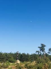 Hogmoor Inclosure "Sentinel" looking at the Moon.