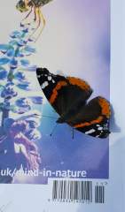 Red, black and white Butterfly