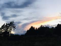 A Dramatic Sky.