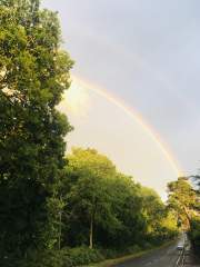 Rainbow falling from a Golden cloud!