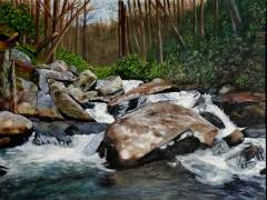 Yellow Creek