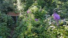 Congresby Station sign hidden amoung the bushes