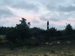Another Hogmoor Inclosure "Sentinel" contemplating Dusk