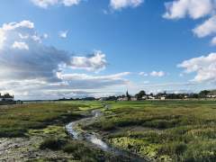 Village of Bosham at low tide