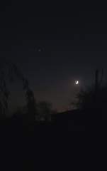 After sunset - a New Moon, Venus, some trees in the dark - and a chimney!