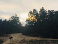Final Sunset of 2020