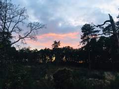 Dramatic Skyscape