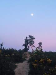 Supermoon over the Hogmoor Inclosure