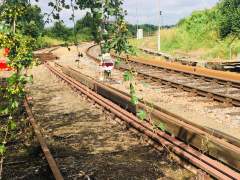 Sunshine, Trees, and Railway Signals