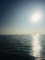 Sunshine on the Solent