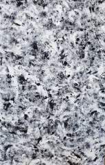 my spirit animal is a nigga with a gun