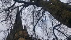 Looking up!