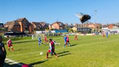 Flight of the Bumblebee!