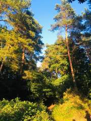 More Colour Contrasts
