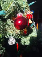 Telstar Reflection