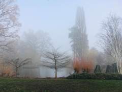 RHS Wisley in the Freezing Fog