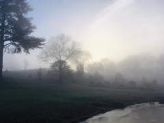 Freezing Fog and Sunshine