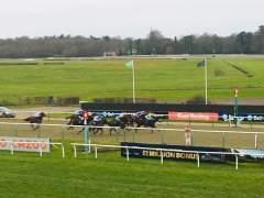 From the Grandstand!