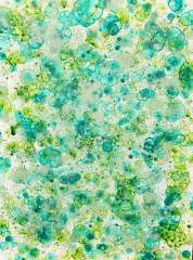 green is not a creative color 3.jpg