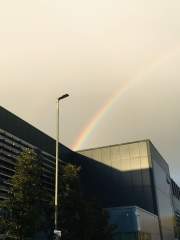Crock of Gold Inside?