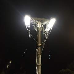 Freezing Fog (again)!