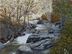 The Little River in the Smokies