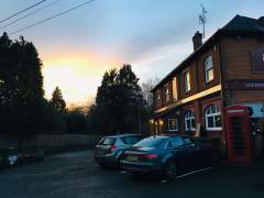 New Years Eve Sunset at the Royal Oak