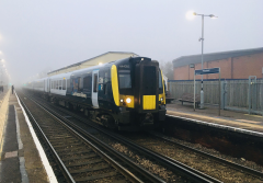 Misty Morning at Petersfield