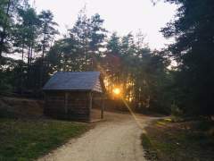 Hogmoor Sunset and Bat Roost