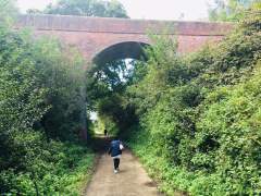 Walker on the Red Squirrel Trail