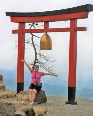 Exploring Mirador