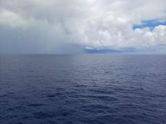 Now that is what I call rain!